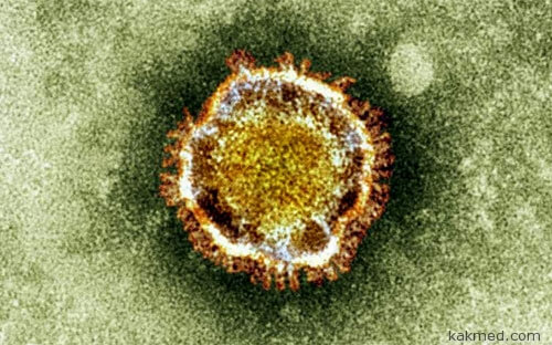 Новый коронавирус