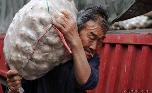 Китайцы доказали полезность чеснока в очередной раз