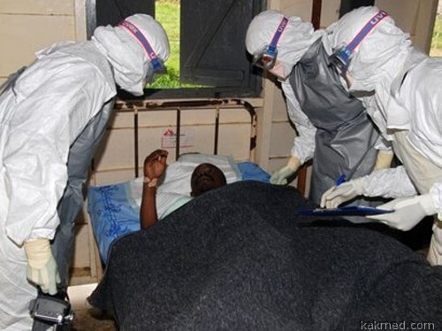Эпидемия лихорадки в Гвинее