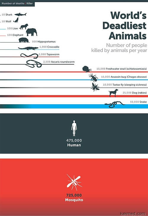 Статистика опасных животных по Биллу Гейтсу