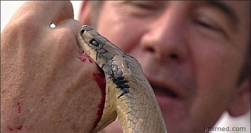 Змея кусает человека