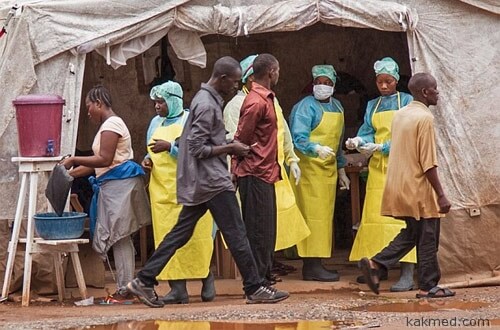 Эбола в Гвинее
