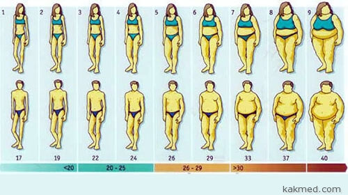 Индекс массы тела 