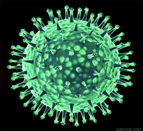Вирус гриппа портрет