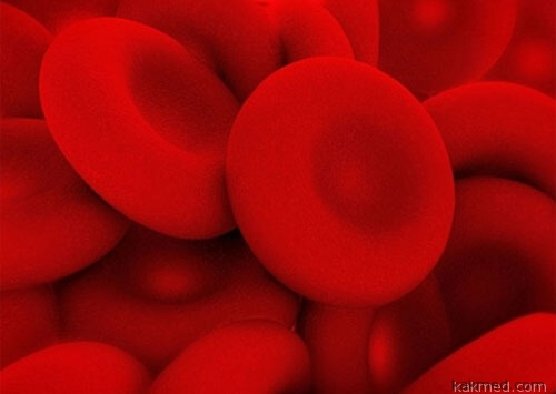 02-synthetic-blood-cells
