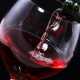 Развеян миф о пользе полифенолов красного вина