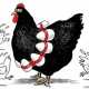 Ученые пугают население планеты пандемией птичьего гриппа