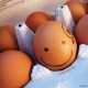 Клин, выбиваемый клином: Аллергию на яйца можно лечить привыканием к яичным протеинам
