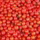 Наши соседи финны настоятельно рекомендуют всему миру кушать больше помидоров и не хворать