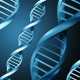 В ДНК человека обнаружены гены, ответственные за рак кишечника