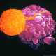 Раковые опухоли можно уничтожать с помощью магнитных полей и наночастиц железа
