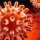 Австралийцы пугают мир пандемией неизлечимого свиного гриппа