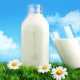 Молоко, продаваемое как «органическое», содержит недостаточно иода, цинка и селена