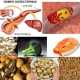Продукты, снижающие холестерин в крови