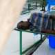 Эпидемия холеры расползается по Южному Судану